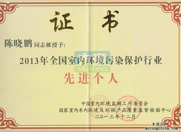 2013年全國室內(nèi)行業(yè)先進個人